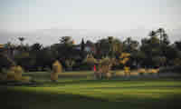 palmeraie golf club